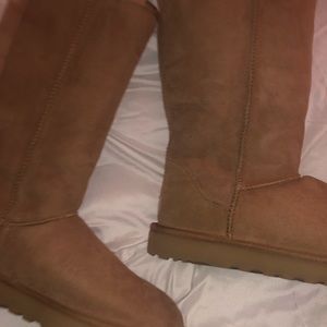 Tall chestnut uggs classic